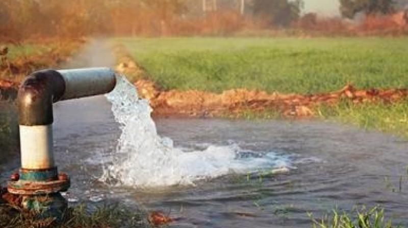 Punishment will be tightened on farmers who take 24-hour electricity for agriculture