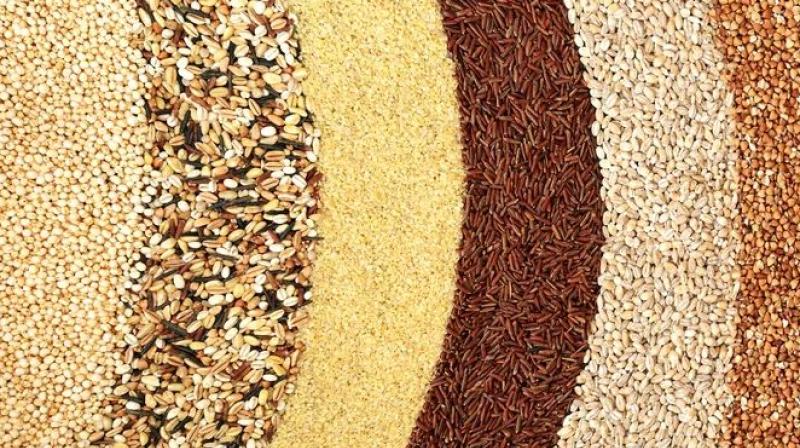 ਵੱਖੋ–ਵੱਖਰੇ ਅਨਾਜ।