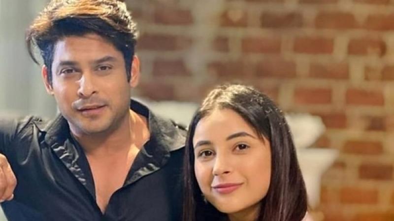 Shehnaaz gill and Sidharth Shukla