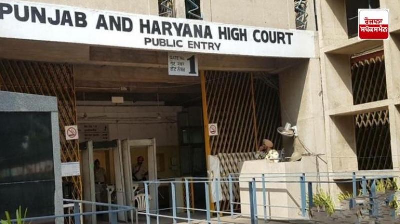 High Court grants bail to accused falsely implicated under NDPS Act