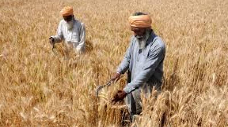  ਮੈਜਿਸਟਰੇਟ ਵਲੋਂ ਹਾੜੀ ਦੇ ਸੀਜ਼ਨ ਦੌਰਾਨ ਖੇਤੀਬਾੜੀ ਦੇ ਕੰਮਾਂ ਲਈ ਜ਼ਰੂਰੀ ਹਦਾਇਤਾਂ 