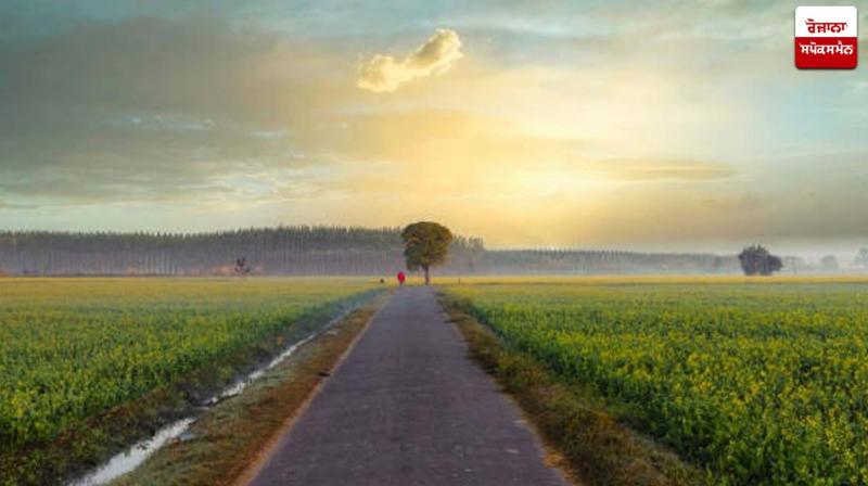 Punjab Weather Update