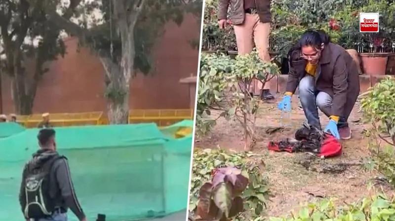 Man who set himself on fire near Parliament dies during treatment latest news in punjabi