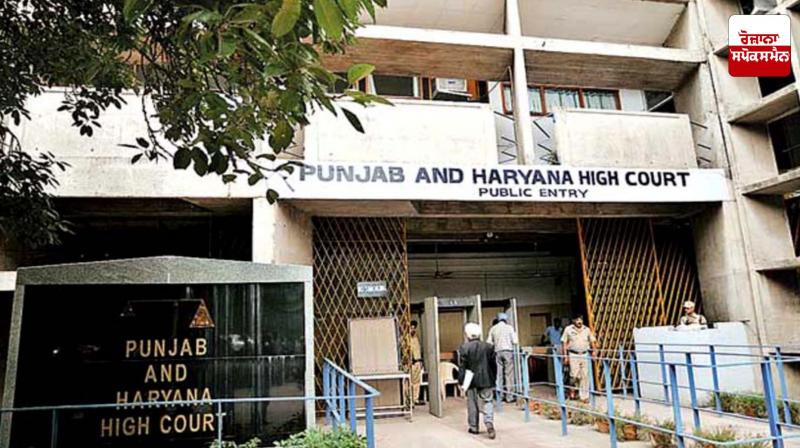 High Court strict on display of weapons on social media, seeks response from Punjab government
