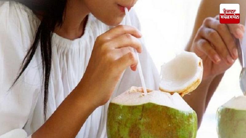 Coconut water is very beneficial for children.