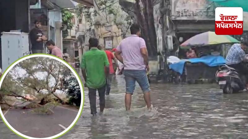 Weather News: Weather changed in various places of Punjab, people got relief from heat due to rain