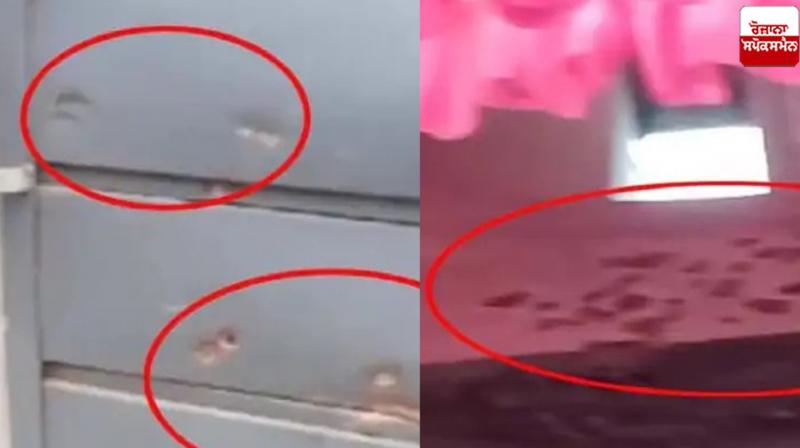 Shots fired at a married house in Firozpur News in punjabi 