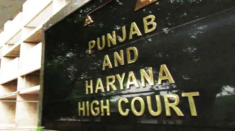  Punjab and Haryana High Court 