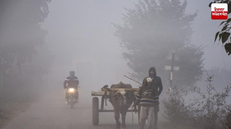 Punjab Weather Update