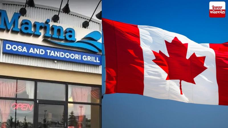 MEGA MARINA DOSA & TANDOORI GRILL Calgary restaurant owners