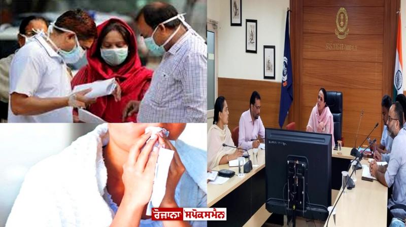 Swine flu has hit Punjab, instructions issued