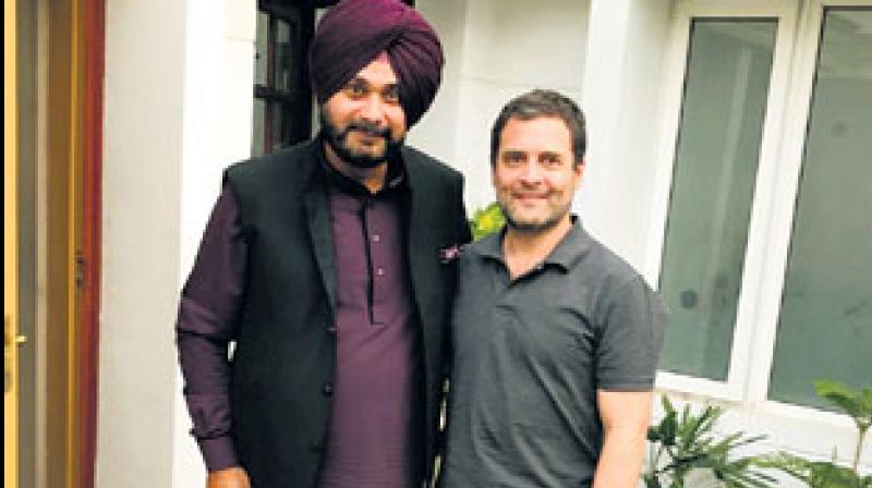 navjot singh sidhu met rahul gandhi