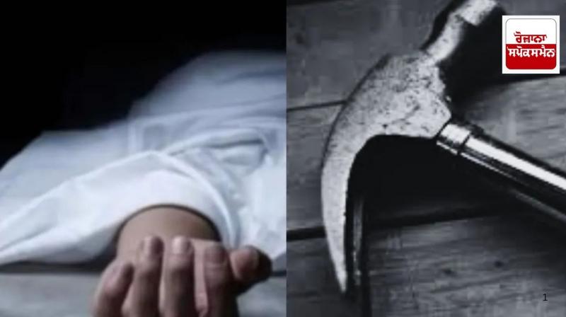 Mother was beaten to death after she refused to give him money to buy a dog