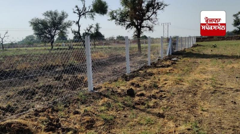 ਕੰਡਿਆਲੀ ਤਾਰ ਤੋਂ ਪਾਰ ਜ਼ਮੀਨਾਂ ਵਾਲੇ ਕਿਸਾਨਾਂ ਨੂੰ ਮਿਲੀ ਵੱਡੀ ਰਾਹਤ, ਅੱਜ ਖੁੱਲ੍ਹਣਗੇ ਗੇਟ 