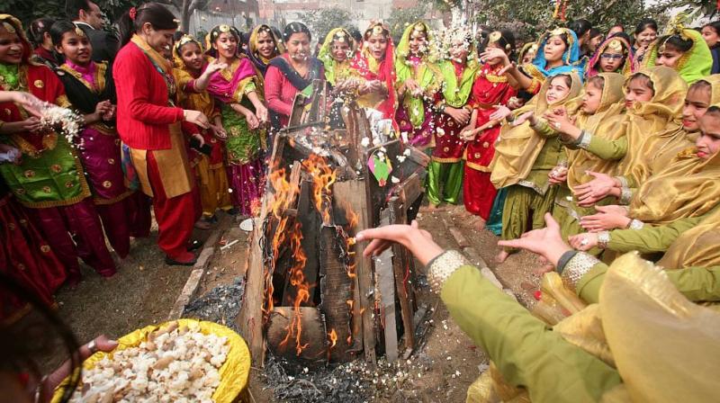 Lohri festival
