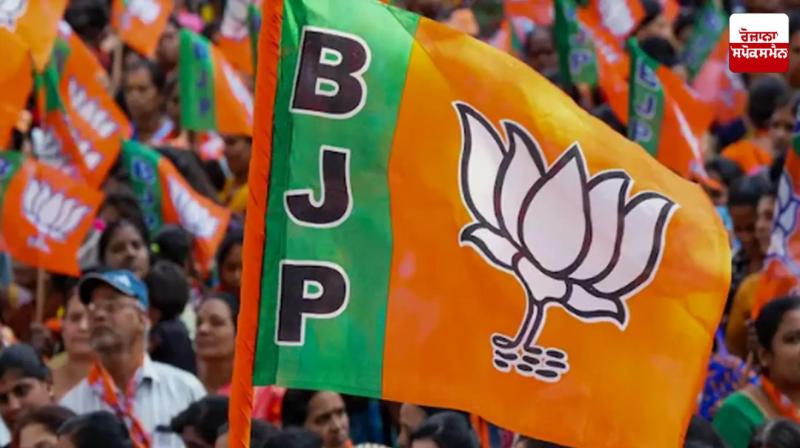 All mosques should be searched and details of visitors should be recorded: BJP leader