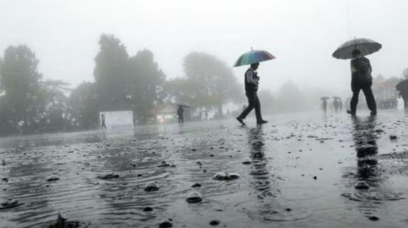 Heavy rain will occur in these districts of Punjab
