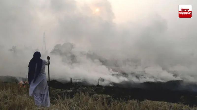 70 percent reduction in stubble burning incidents in Punjab: NGT Report