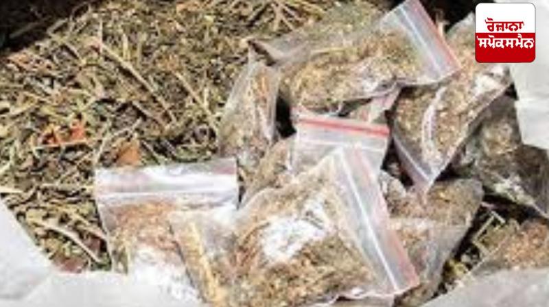 Unique method of drug smuggling, 10 kg of ganja hidden in God's photo frame