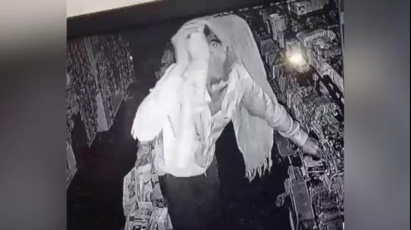  Thief enjoyed ice cream