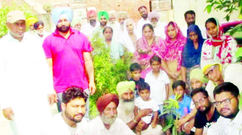 People during planting plants