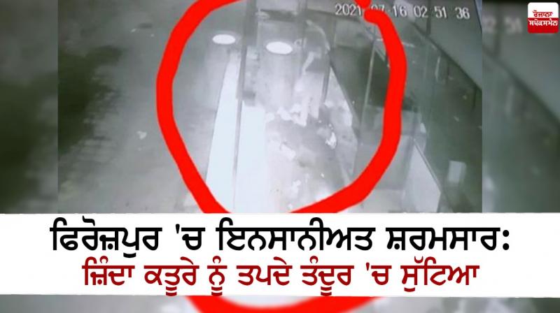 Humanity ashamed in Ferozepur: Live puppy thrown in hot oven