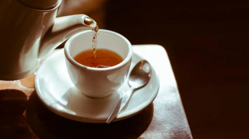 Punjab News Kapurthala 