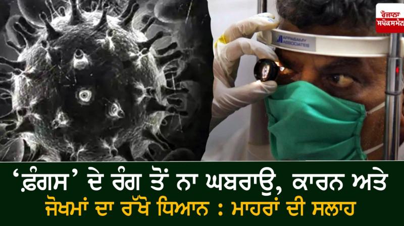 Fungus colour should not lead to panic, look for causes and risks