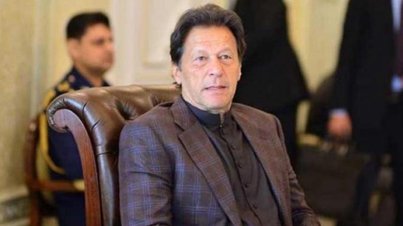 Pak pharmacists demand probe into import of medicines from india despite ban