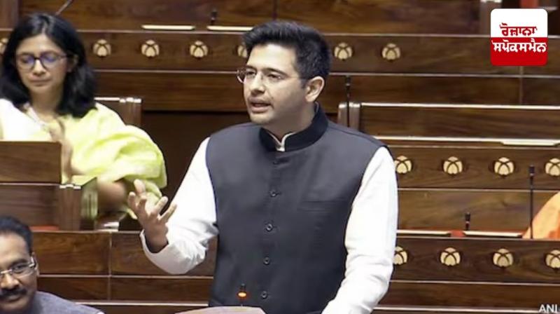 MP Raghav Chadha raised the issue of copyright.