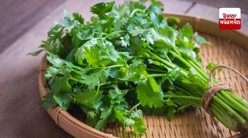  benefits Coriander