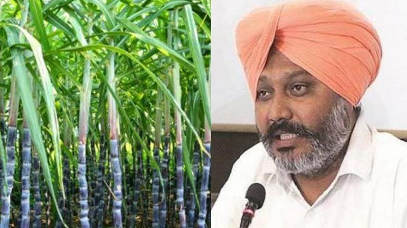 Taskforce to be set up to increase income of sugarcane farmers - Harpal Singh Cheema