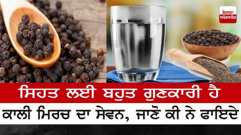 Black Pepper Benefits For Health