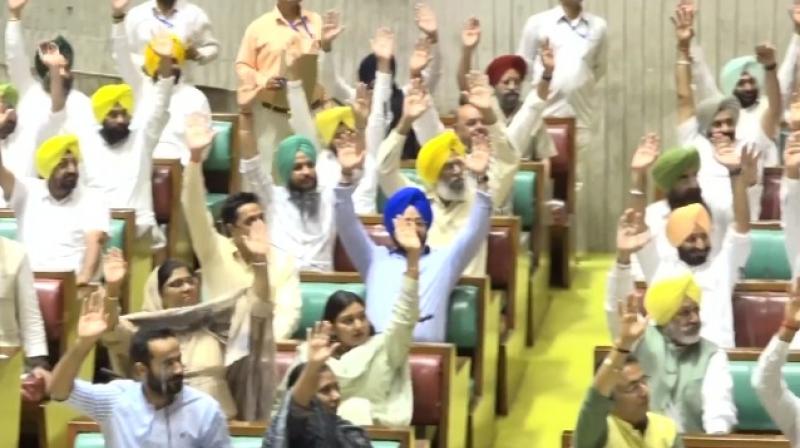 Bhagwant Mann govt wins confidence vote 