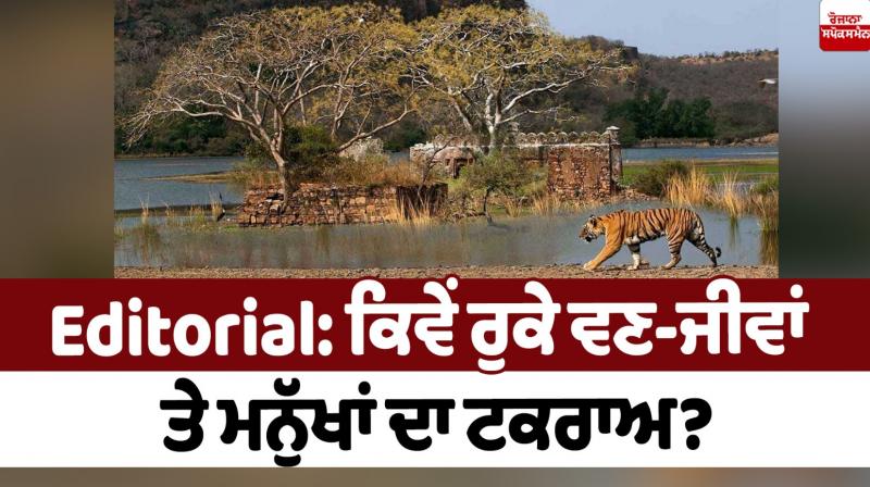 How to stop the conflict between wildlife and humans Editorial