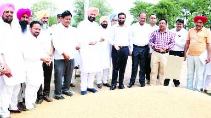 Buying Wheat by Govt