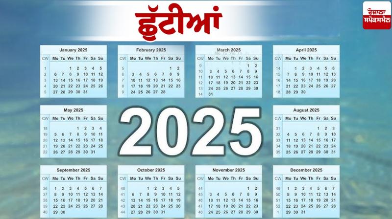 Punjab Govt Holidays List 2025  News