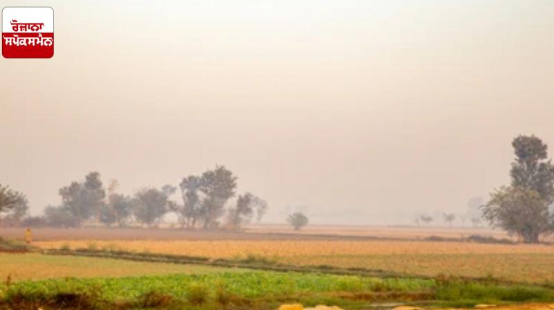 Punjab Weather Update 