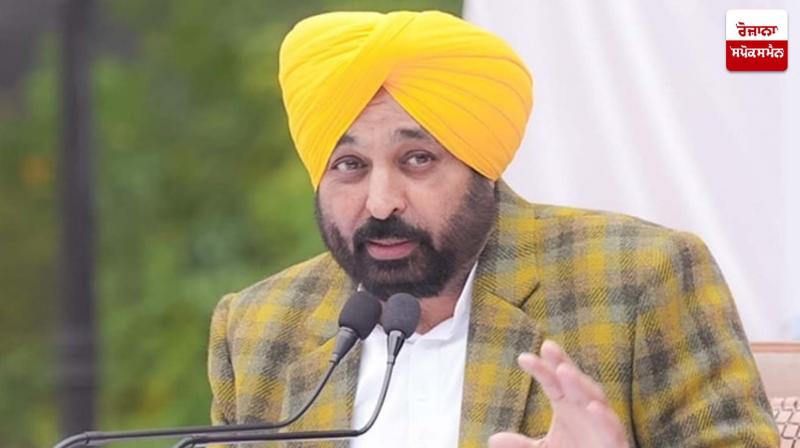 Mann government provide jobs punjab news