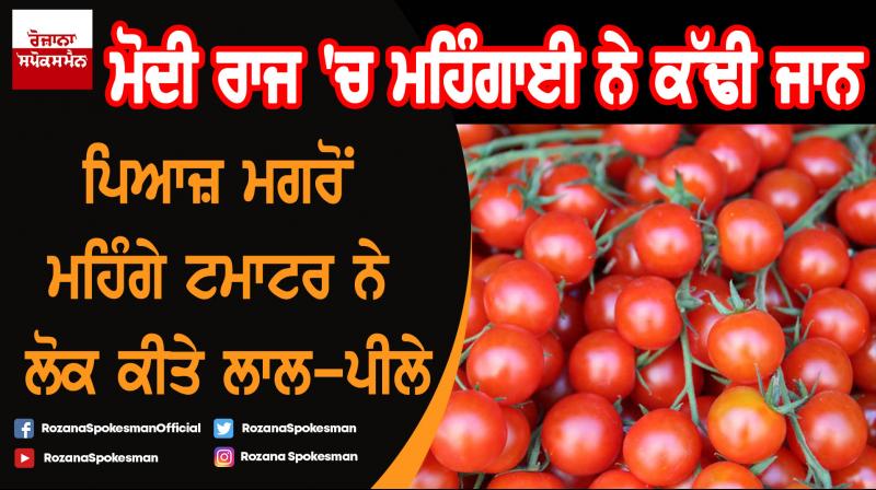 Now, tomato price soar to Rs 80/kg 