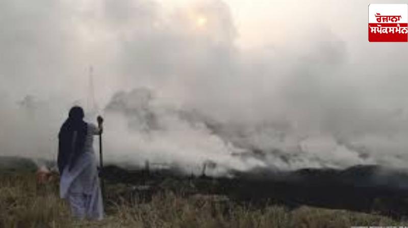 50 percent reduction in stubble burning incidents in Punjab