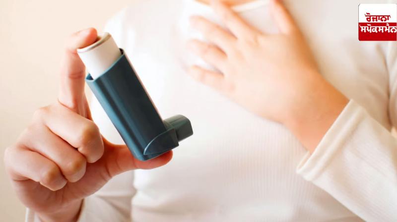 One-third of asthma cases linked to long-term exposure to PM2.5 in 2019: Study