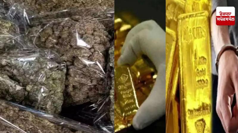 Cannabis, gold and diamonds worth over Rs 50 crore seized at Mumbai airport, 8 arrested