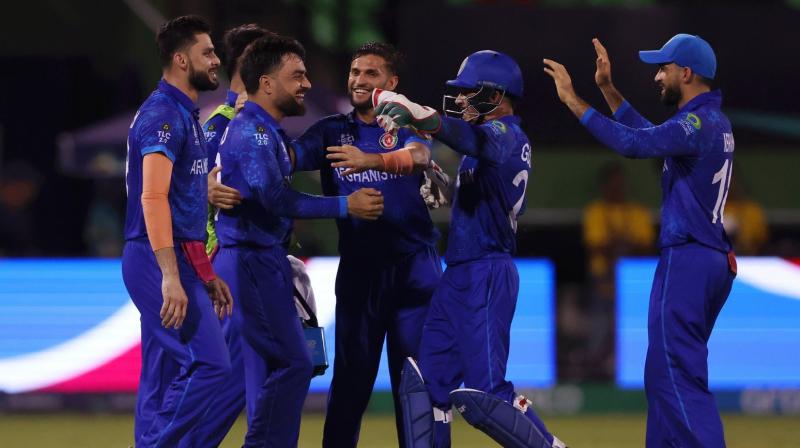 T20 World Cup: Afghanistan Beat New Zealand by 84 Runs