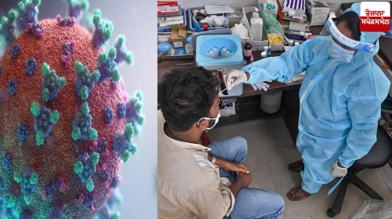 Corona Cases in india News in punjabi 