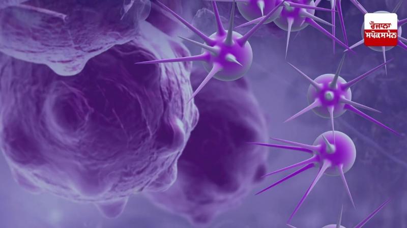 Indigenous tips to avoid cancer