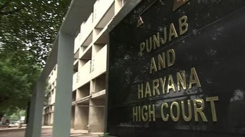 punjab and haryana high court