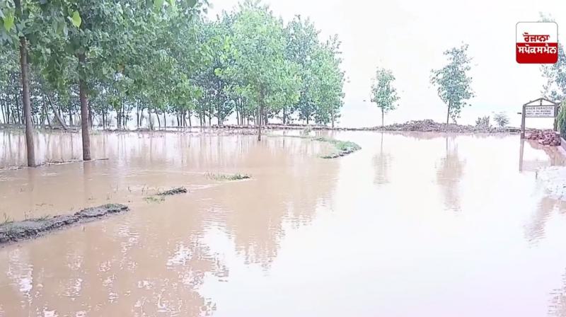 ਡੇਰਾ ਬਾਬਾ ਨਾਨਕ ਹਲਕੇ ‘ਚ ਅਲਰਟ, ਰਾਵੀ ਦਰਿਆ ‘ਚ ਪਾਣੀ ਛੱਡੇ ਜਾਣ ਕਾਰਨ ਹੜ੍ਹ ਦਾ ਖ਼ਤਰਾ