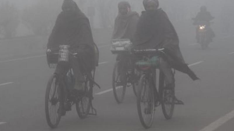 General weather update Punjab 