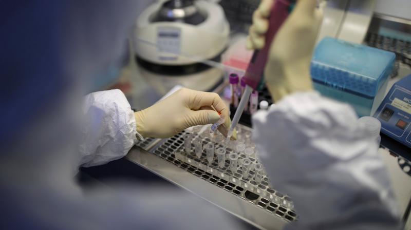 Rapid testing of corona virus wil happen in punjab